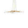 DV5089 Forest Light