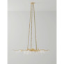 DV5089 Forest Light