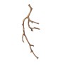 QZ315 AQUA BRANCH SCONCES