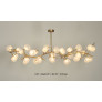 WM2128 LUCIA CHANDELIER