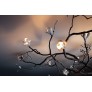 WM2713 ILLUMINATED BRANCH SCUPLTURE