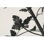 WM2724  BLOOMING DARK SKY CHANDELIER