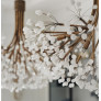 KA1869 Branching Quartz