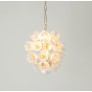 AM962850  DAISY