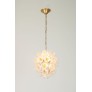 AM962850  DAISY