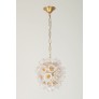 AM962850  DAISY