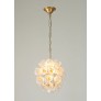 AM962850  DAISY