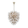 AM962850  DAISY
