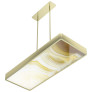 IQ21001 STYLISH METAL CEILING LAMP