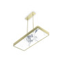 IQ21001 STYLISH METAL CEILING LAMP