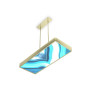 IQ21001 STYLISH METAL CEILING LAMP