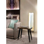 IQ21003 STYLISH METAL FLOOR LAMP