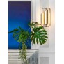 IQ21036 ODISSEY WALL SCONCE