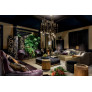 IQ21058 SIAM CEILING LAMP
