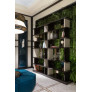 IQ21062 SIAM WALL SCONCE