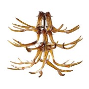 IQ2266 BLOWN GLASS ANTLER CHANDELIER