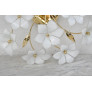 IQ2843 ITALIAN WALL LIGHT