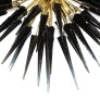 IQ8423 MODERN BRASS STARBURST CHANDELIER