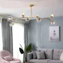 QZ2144 RHOME II