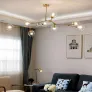QZ2144 RHOME II