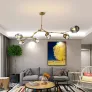 QZ2144 RHOME II