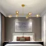 QZ2144 RHOME II
