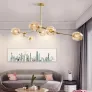 QZ2144 RHOME II