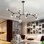 QZ2144 RHOME II