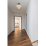 AM1539 SCHOTT LUSTER 30
