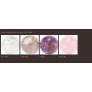 ROCK CRYSTAL OPTION