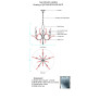 QZ7396 BEVELED ARCS