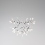 AM1705 HERACLEUM