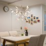 AM1705 HERACLEUM