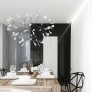 AM1705 HERACLEUM