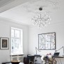AM1705 HERACLEUM