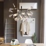 AM1705 HERACLEUM