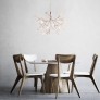 AM1705 HERACLEUM