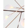 AM1705 HERACLEUM