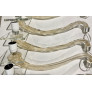 DG-80065 LUNA GRANDE CHANDELIER