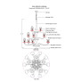 DG-80065 LUNA GRANDE CHANDELIER