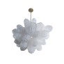 IQ2056 CORAL CLUSTER