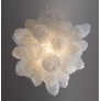 IQ2056 CORAL CLUSTER