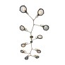 RJ2007 Brachiated Lens Chandelier