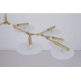 DV5612 Branching Disc