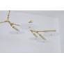 DV5612 Branching Disc