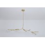 DV5612 Branching Disc