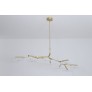 DV5612 Branching Disc