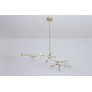 DV5612 Branching Disc