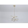DV5612 Branching Disc