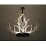 KA1800 Lucite Antlers